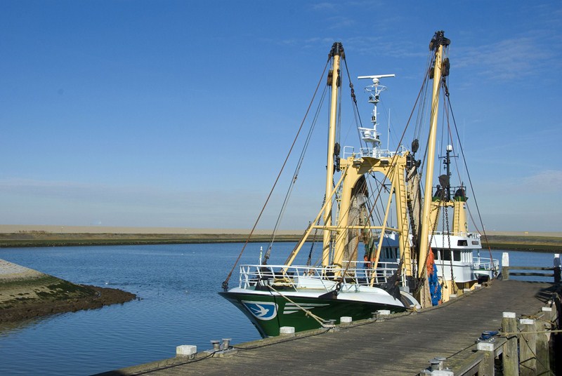 De minister van LNV heeft een saneringsregeling voor de visserij gepubliceerd. De regeling wordt per 1