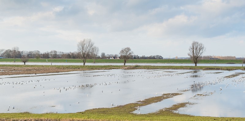 Ondernemers in Noord-Brabant en Limburg, die door de overstromingen in juli 2021 omzetverlies hebben