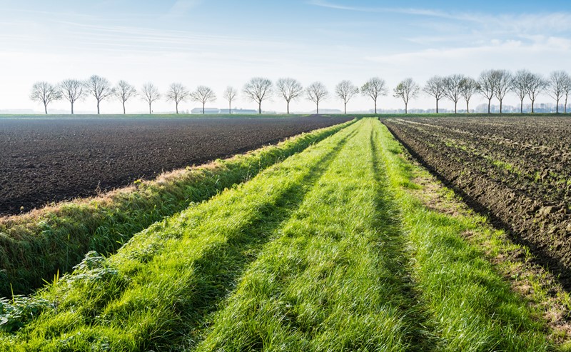 In het zogenaamde Didamarrest uit 2021 heeft de Hoge Raad geoordeeld dat een overheidslichaam een