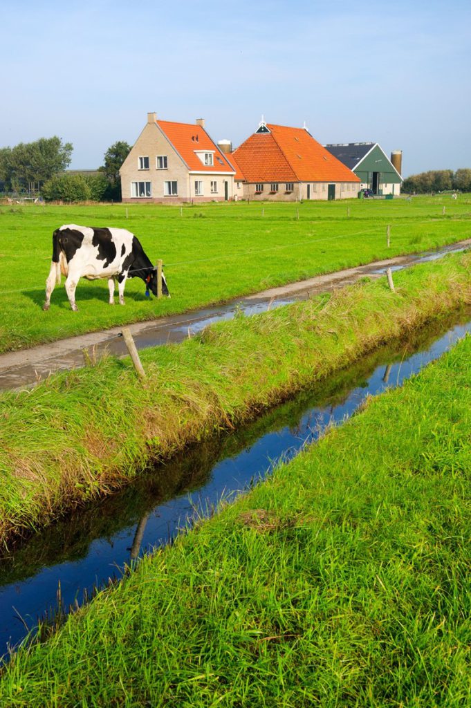 Een bv exploiteerde een veehouderij. De bv heeft in 2012 een woning gekocht voor haar dga, die woonde in