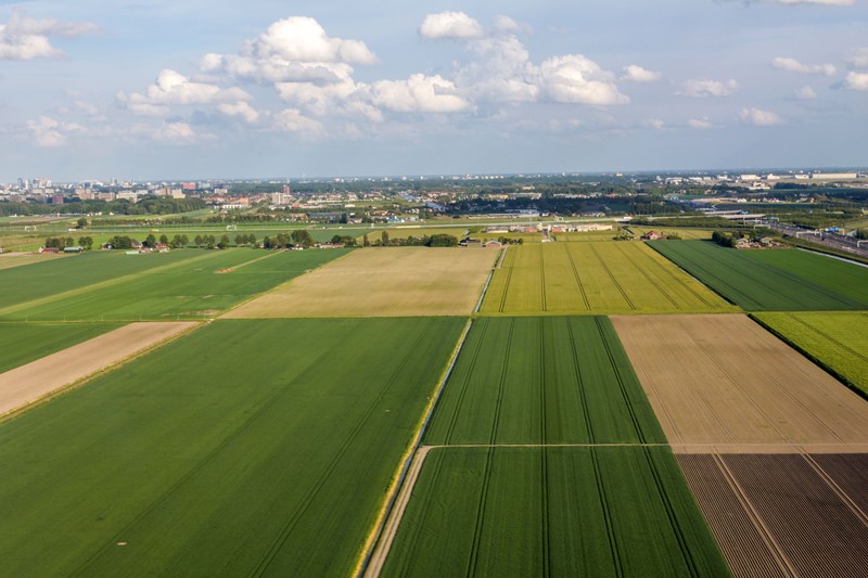 Voor het scheuren, doodspuiten of vernietigen van grasland gelden afhankelijk van de grondsoort